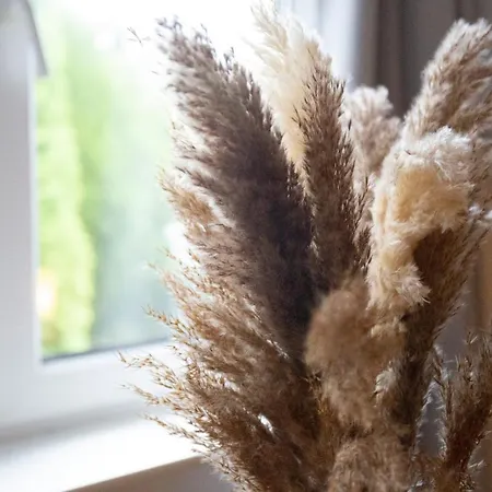 Mitten In Apartment *
