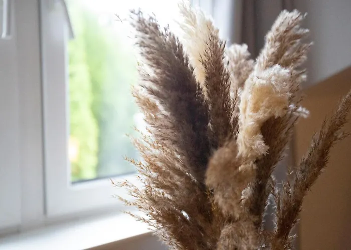 Mitten In Apartman *